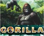 vlt online gorilla