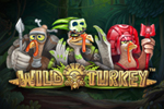slot wild turkey
