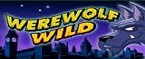 slot wherewolf wild