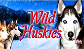 slot machine wild huskies