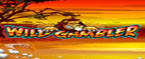 slot wild gambler
